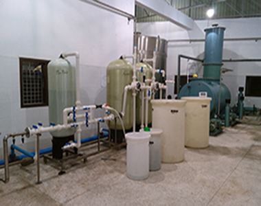 dm plant