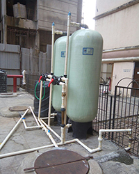 Dm plant
